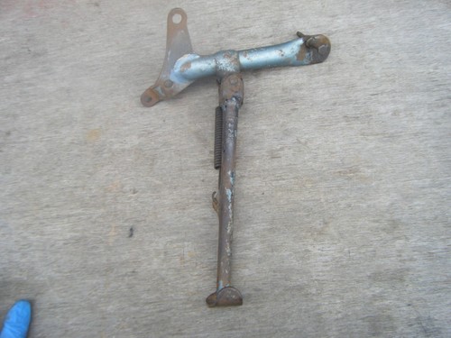 Triumph tiger cub side - tiger, stand