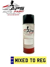 Aerosol Spray Paint Kit Mixed