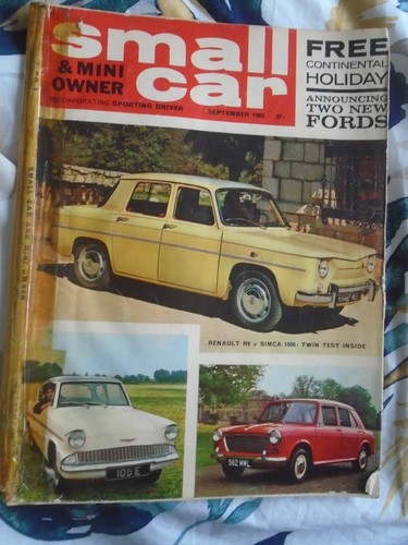 Small car mini owner - car,