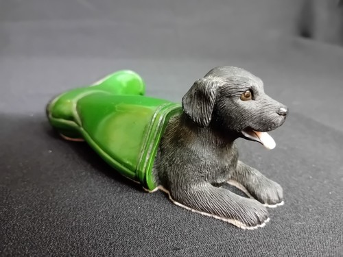 Black labrador puppy green - *black,