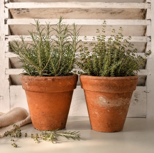 Pair vintage terracotta - vintage,