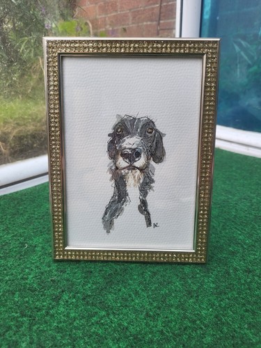 Scruffy deerhound lurcher