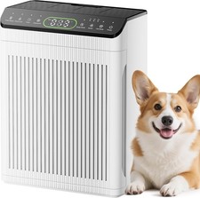 Evalit air purifiers - air,