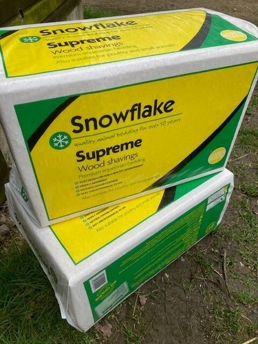 Snowflake supreme horse - snowflake,