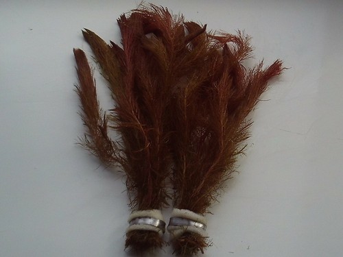 Bunched leaded red - leaded,