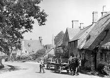 Man with his horse cart on a