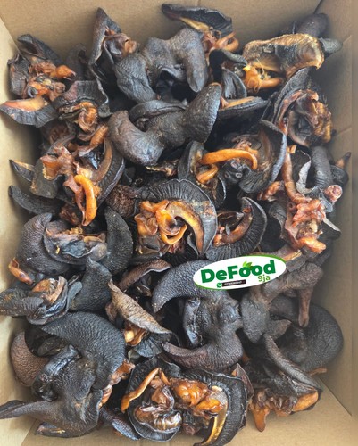 Oven dried snail jumbo size - oven,