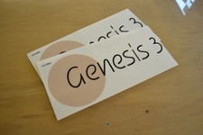 ELDDIS Genesis 3 Caravan Name Stickers Decals Graphics - PAIR