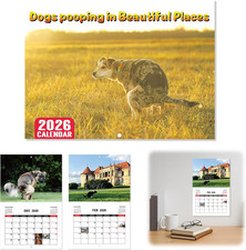 2026 Dogs Pooping in Beautiful