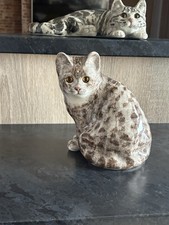 Winstanley Cat Size 4 Perfect