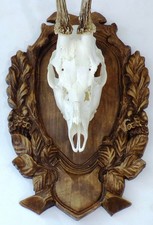 Wooden Base Shield Trophy Wood