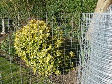 3ft x 30M WELDED WIRE MESH (1/2"X1") GALVANISED FENCE AVIARY RABBIT HUTCH - 20G