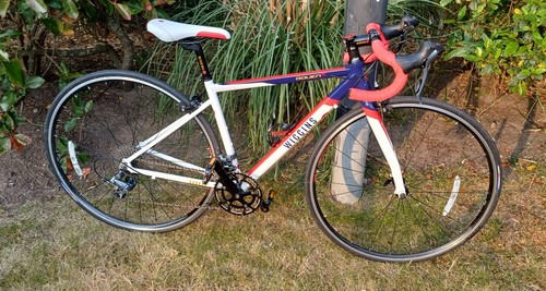 Wiggins rouen 700 junior - rouen, road