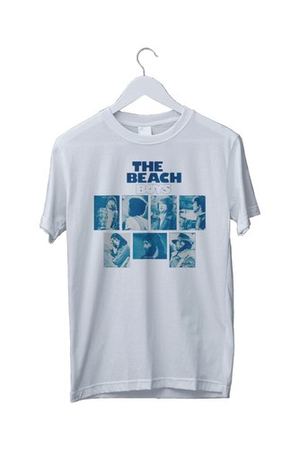 The beach boys - band, tour