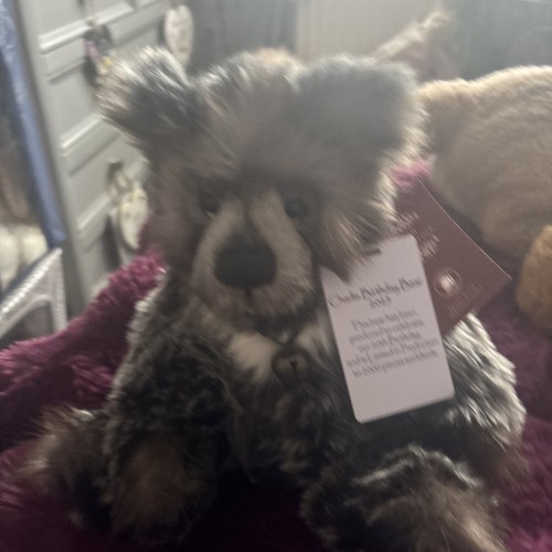 Charlie bear birthday - bear,