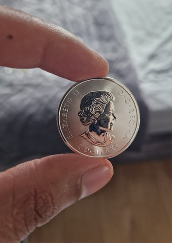 9999 fine silver - .9999,
