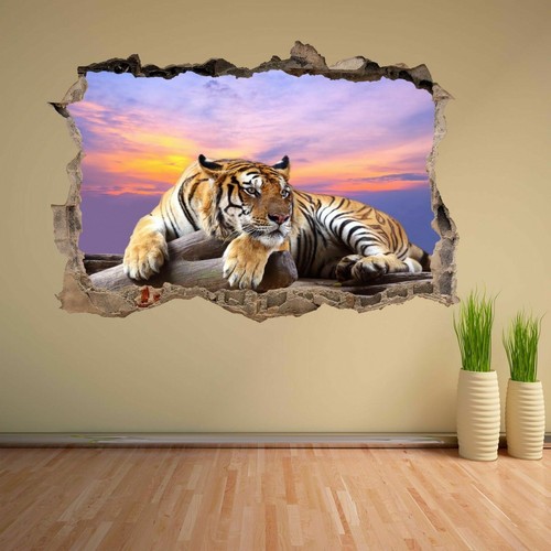 Tiger sky sunset wildlife - sunset,