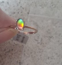Beautiful Ammolite Gold over