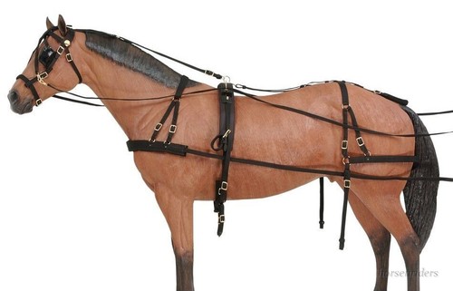 Pony driving harness - driving, samson