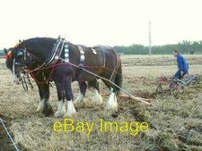 Photo 6x4 Horse-drawn plough