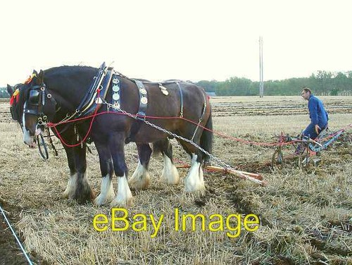 Photo 6x4 horse drawn - 6x4, plough