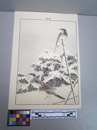 Woodblock print - woodblock,