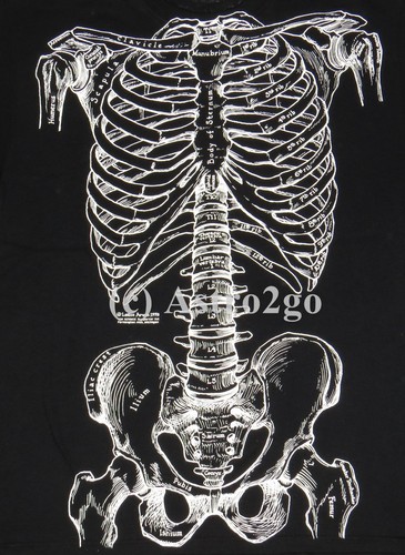 Bones leslie arwin - bones-leslie,