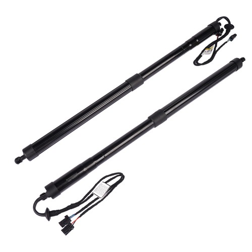 Tailgate strut for - tailgate,
