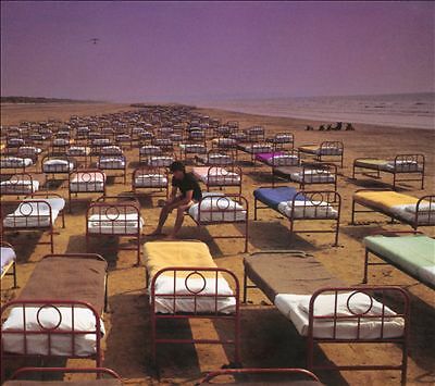 Pink floyd momentary lapse - momentary,
