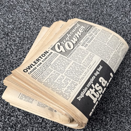 1981 greyhound racing - 52,