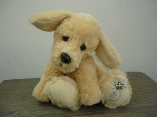 Shining stars yellow labrador - stars,