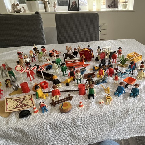 Playmobil mixed bundle - mixed,