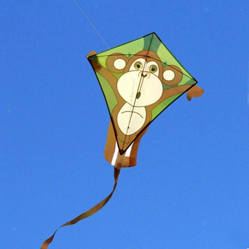 Vivid phoenix bird kite - kite, giant