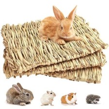 Animal Hamster Grass Chew Mat