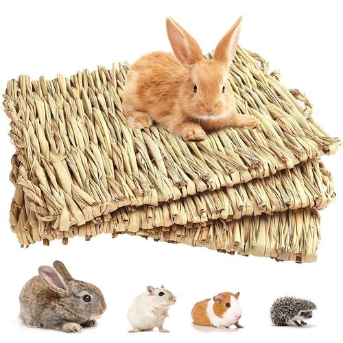 Animal hamster grass chew - hamster, mat