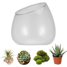 Slant Cut Terrarium Bowl Glass