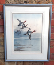 Archibald thorburn - archibald,
