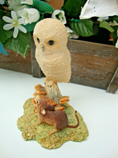 Border Fine Arts - Baby Owl &