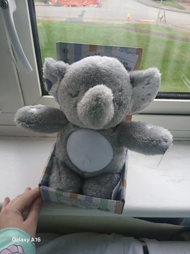 Lullaby elephant - lullaby,