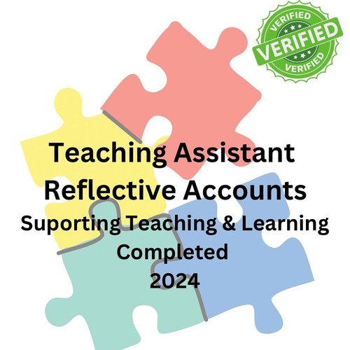 Teaching assistant course work - assistant,