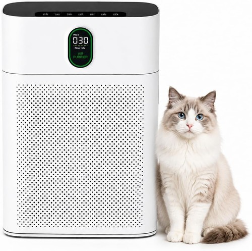 Air purifier for - air, large