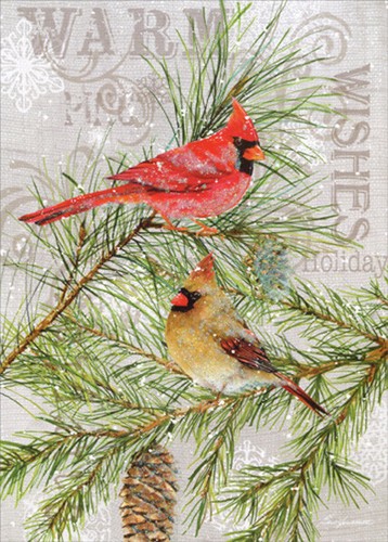 Cardinals pine barb - pine,