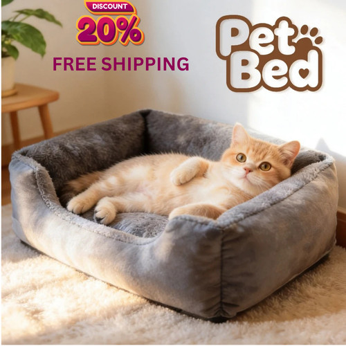 Warm cosy cat - warm,