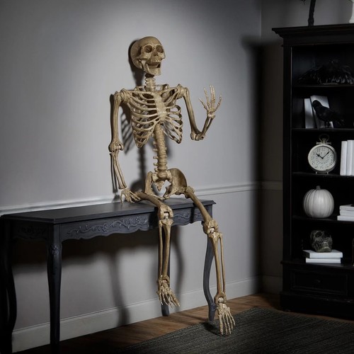 7ft poseable skeleton - poseable,