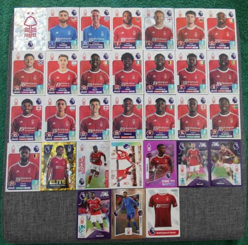 Panini premier league - premier,