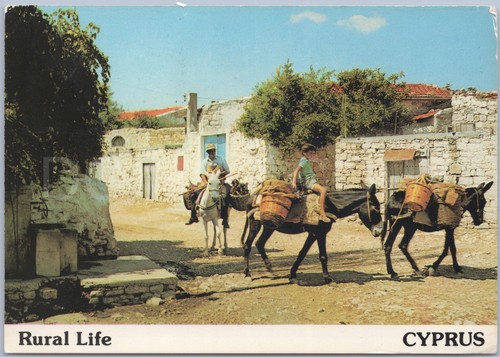 Rural life scene cyprus - rural,