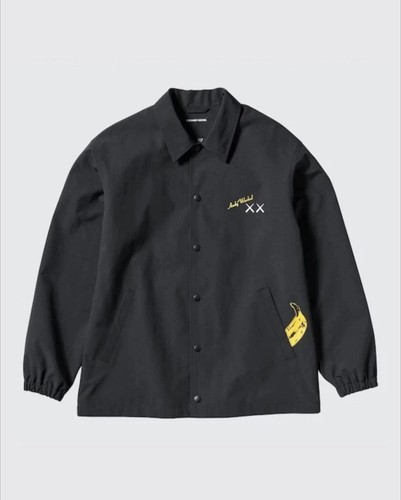 Kaws warhol uniqlo ut - kaws,
