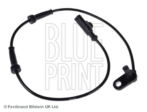 Fits blue print - fits,