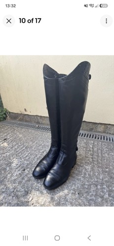 Ariat palisade womens tall - palisade,