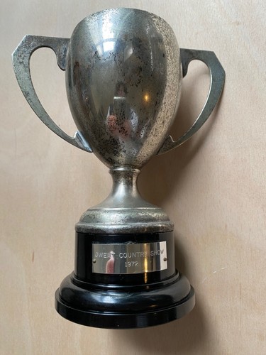 Vintage silver plated trophy - vintage,
